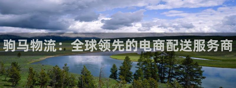 28圈充值：驹马物流：全球领先的电商配送服务商
