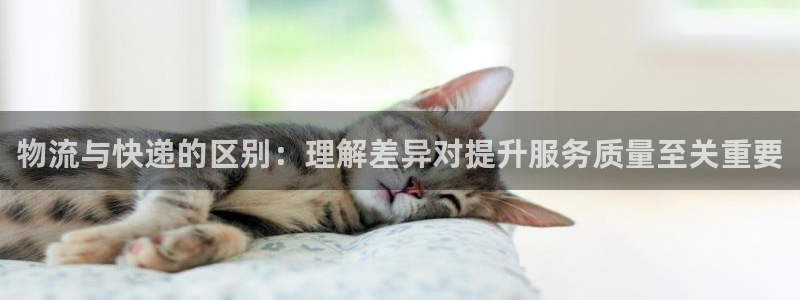 28圈.ccmapp