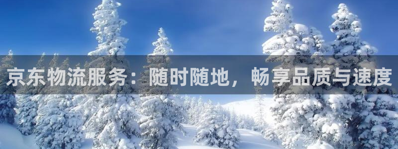 28圈客服电话：京东物流服务：随时随地，畅享品质与速度