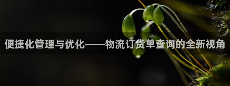 28圈怎么下载教程