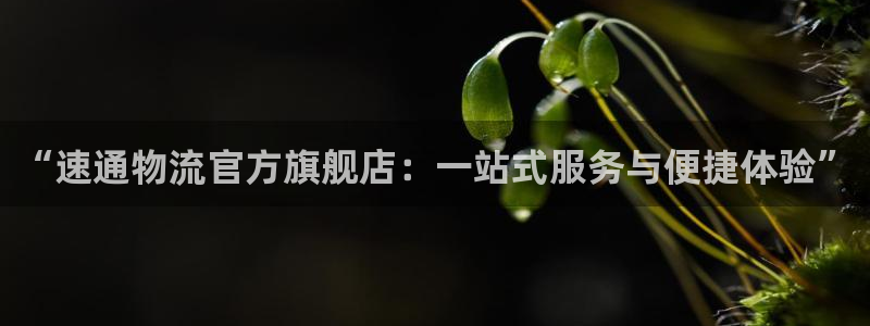 28圈口：“速通物流官方旗舰店：一站