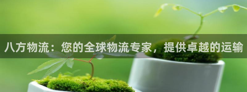28圈如何看计划