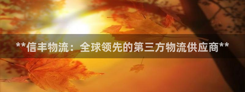 28圈加拿大