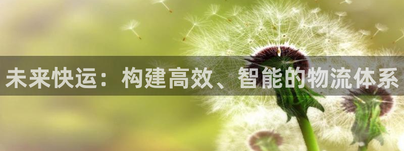 28圈预测网
