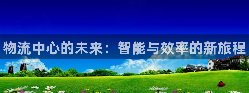 28圈充值不到账：物流中心的未来：智能与效率的新旅程